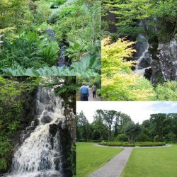 Dunvegan castle gardens.